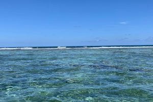 Snorkel in Xcalak Reef National Park